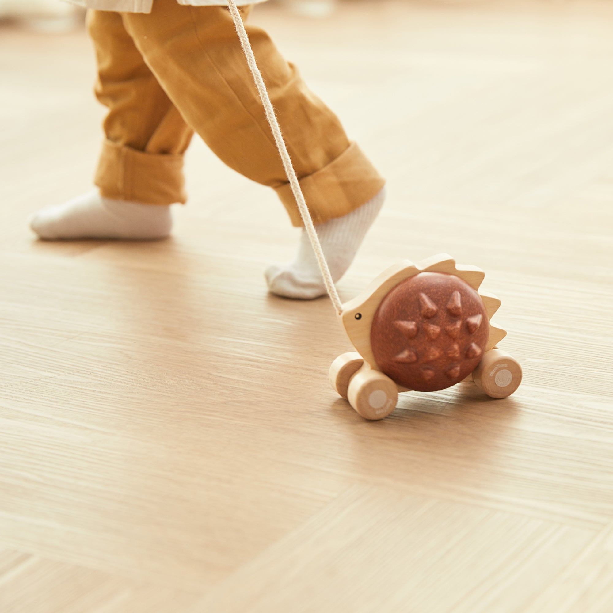 Small child pulling a pull-along hedgehog along a floor