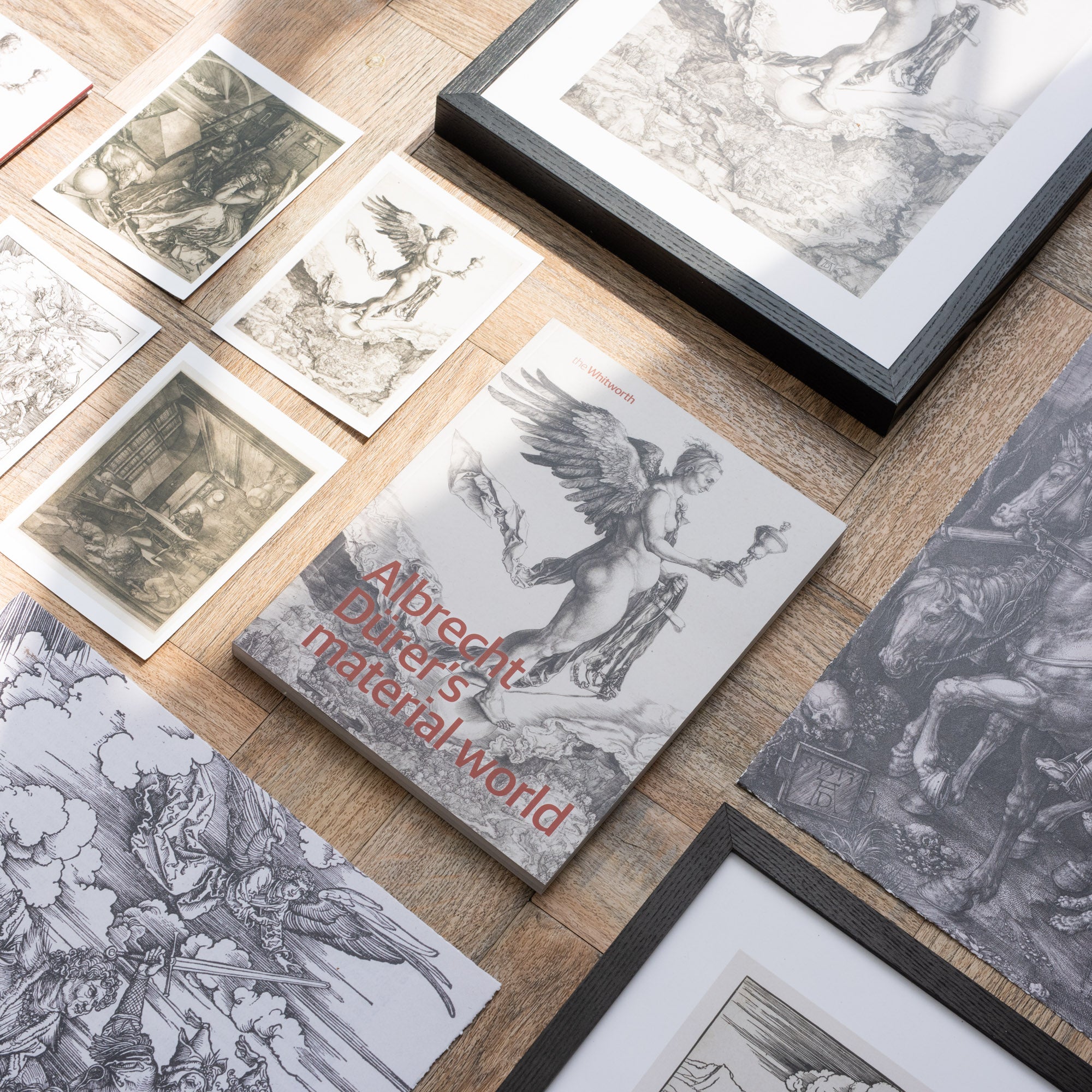 Albrecht Dürer's Material World