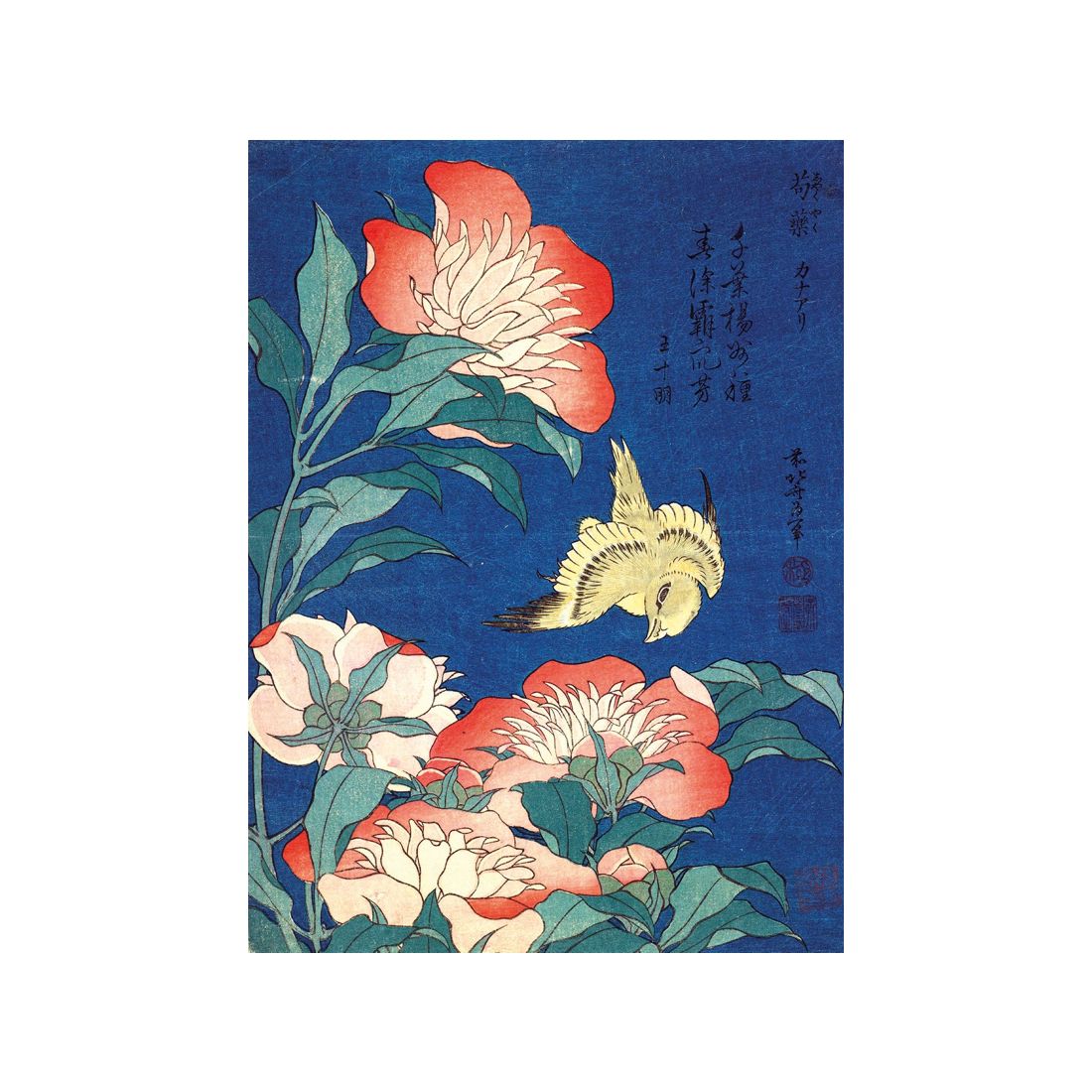 Greetings Card - Peonies and Canary