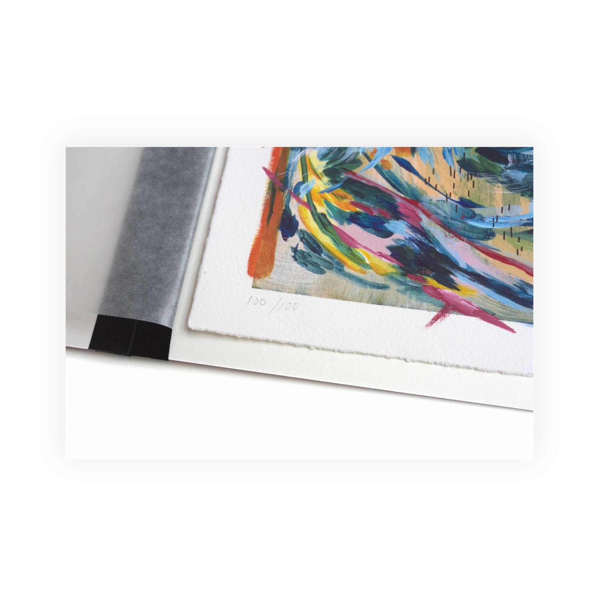 A close-up of the limited edition showing torn edges textured paper.