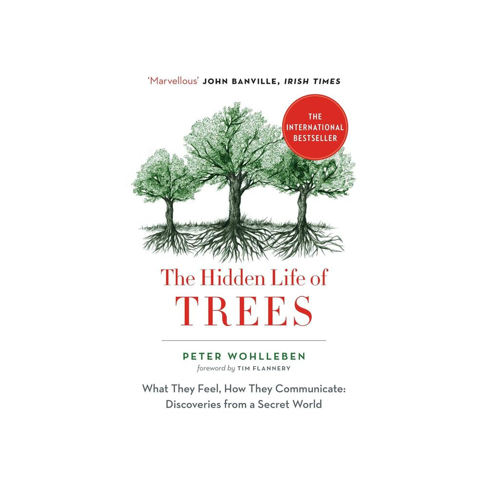 Hidden Life of Trees
