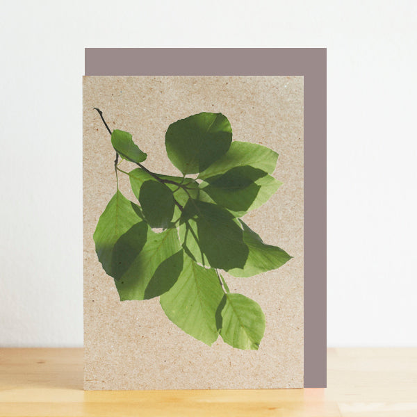 Card with green leaf design on a beige background