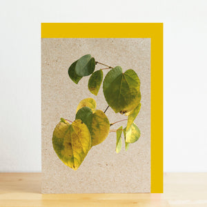 Card with green leaves design on a beige background with a yellow border