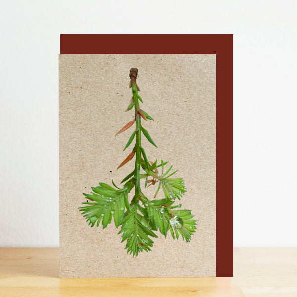 Card with green leaf design on a beige background