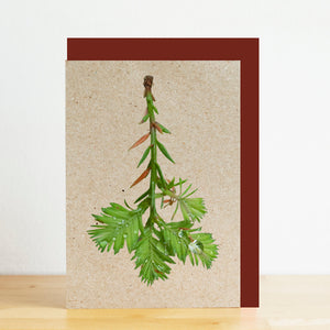 Card with green leaf design on a beige background