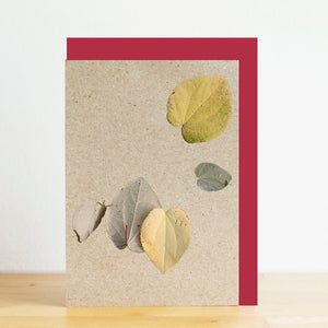 Card with pressed leaves on a textured beige background with a red border