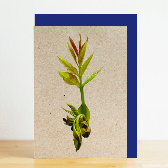 Card with a sprouting plant on a beige background with a blue border