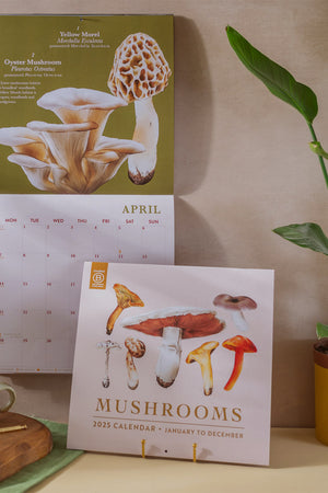 Lifestyle photo of calendar with illustrations of mushrooms