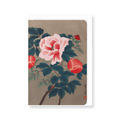 Peonies Greetings Card