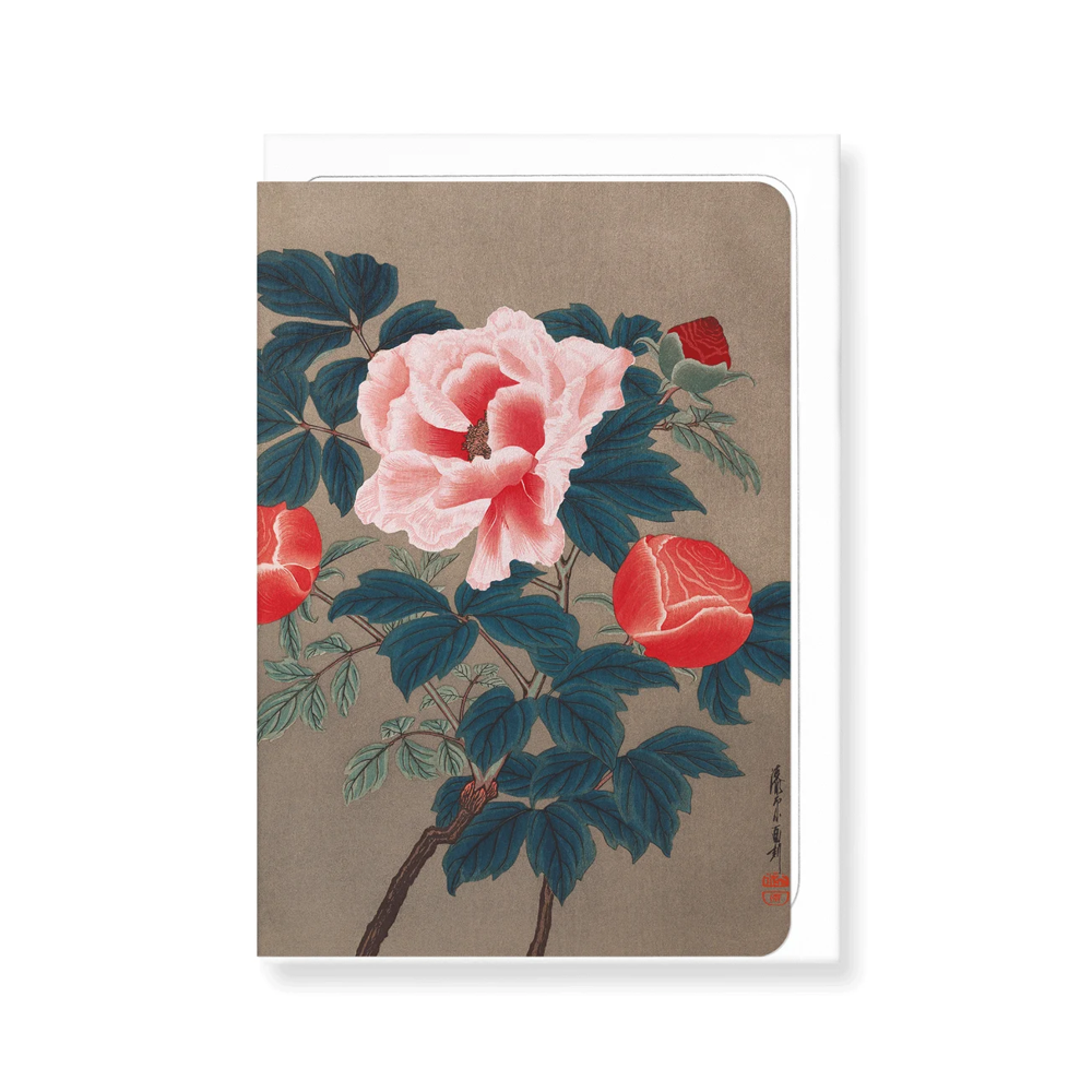 Peonies Greetings Card