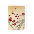 Red Plum Blossom Tree Greetings Card