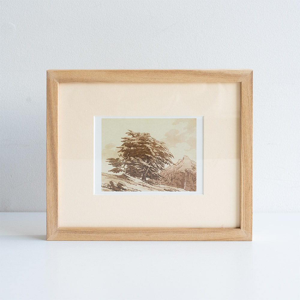 Framed artwork of a landscape with a tree on a white background