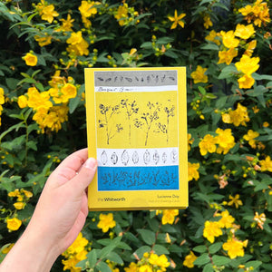 A person holding a set of greetings cards in front of a yellow floral bush. The front cover set of greetings cards features an image of a blue and yellow floral textile design by Lucienne Day.