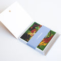 Set of greetings cards open against a white background