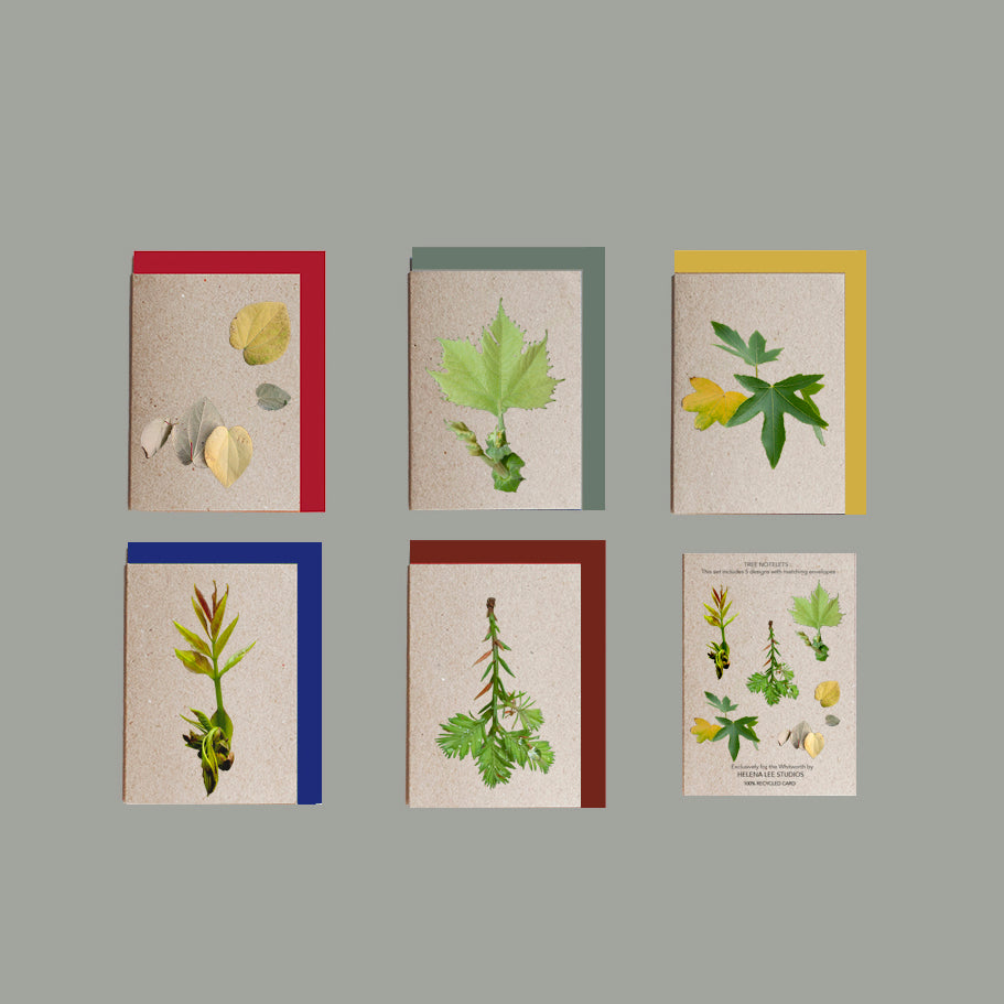 Set of six greeting cards with nature-themed designs on a grey background