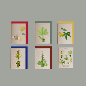 Set of six greeting cards with nature-themed designs on a grey background
