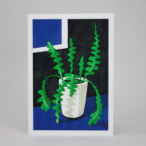 Greetings card featuring a fishbone cactus plant in a white pot