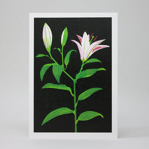 Greetings cards with an illustration of a Lily