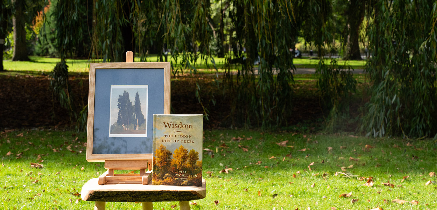 Book titled 'Wisdom' on a wooden stand with an easel in a park setting