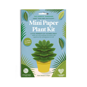 A yellow and black packaging for a mini paper plant kit. The packaging features a picture of a succulent plant and product information.