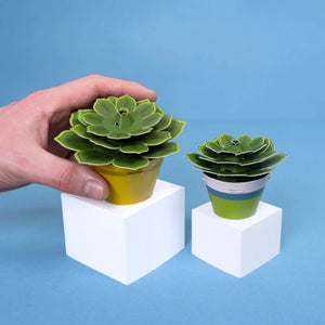 Two paper succulent plants in pots. The pots are different colours and styles, and the plants have green leaves arranged in a rosette pattern. A person's hand is hovering above one of the plants. The plants are sitting on white blocks in front of a blue background.