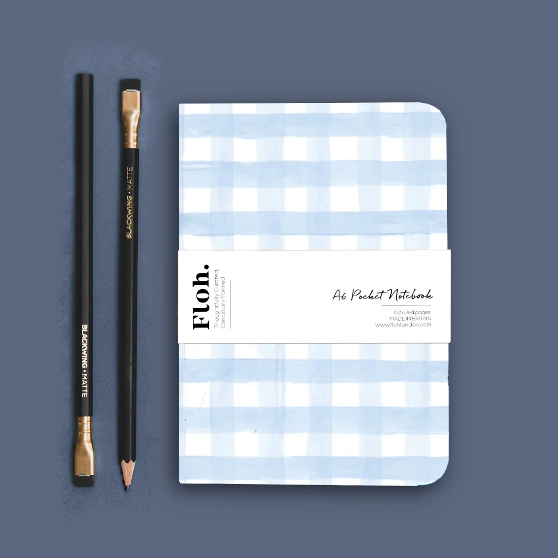 Blue gingham notebook against blue backdrop