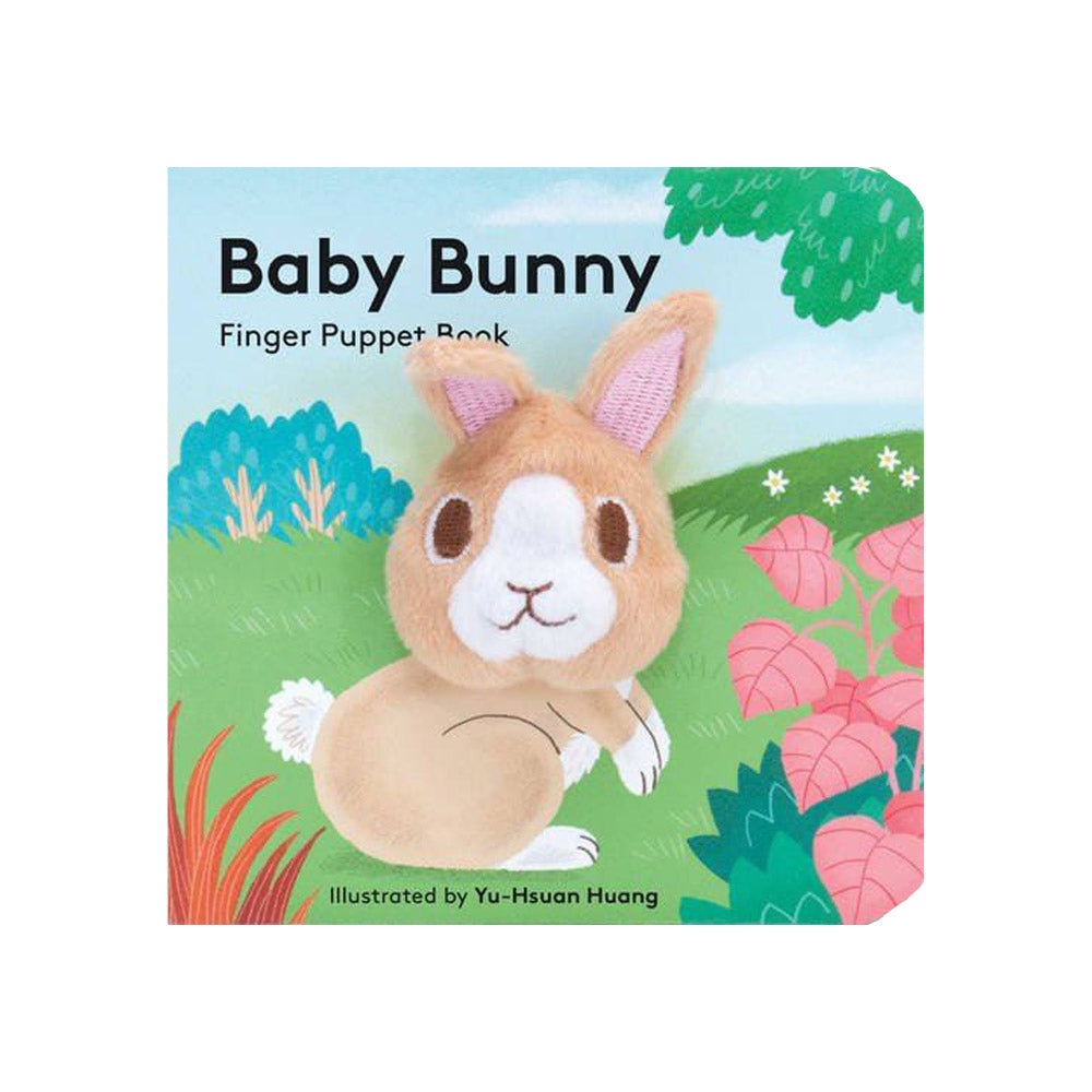Front cover of book with a bunny rabbit stuffed toy 