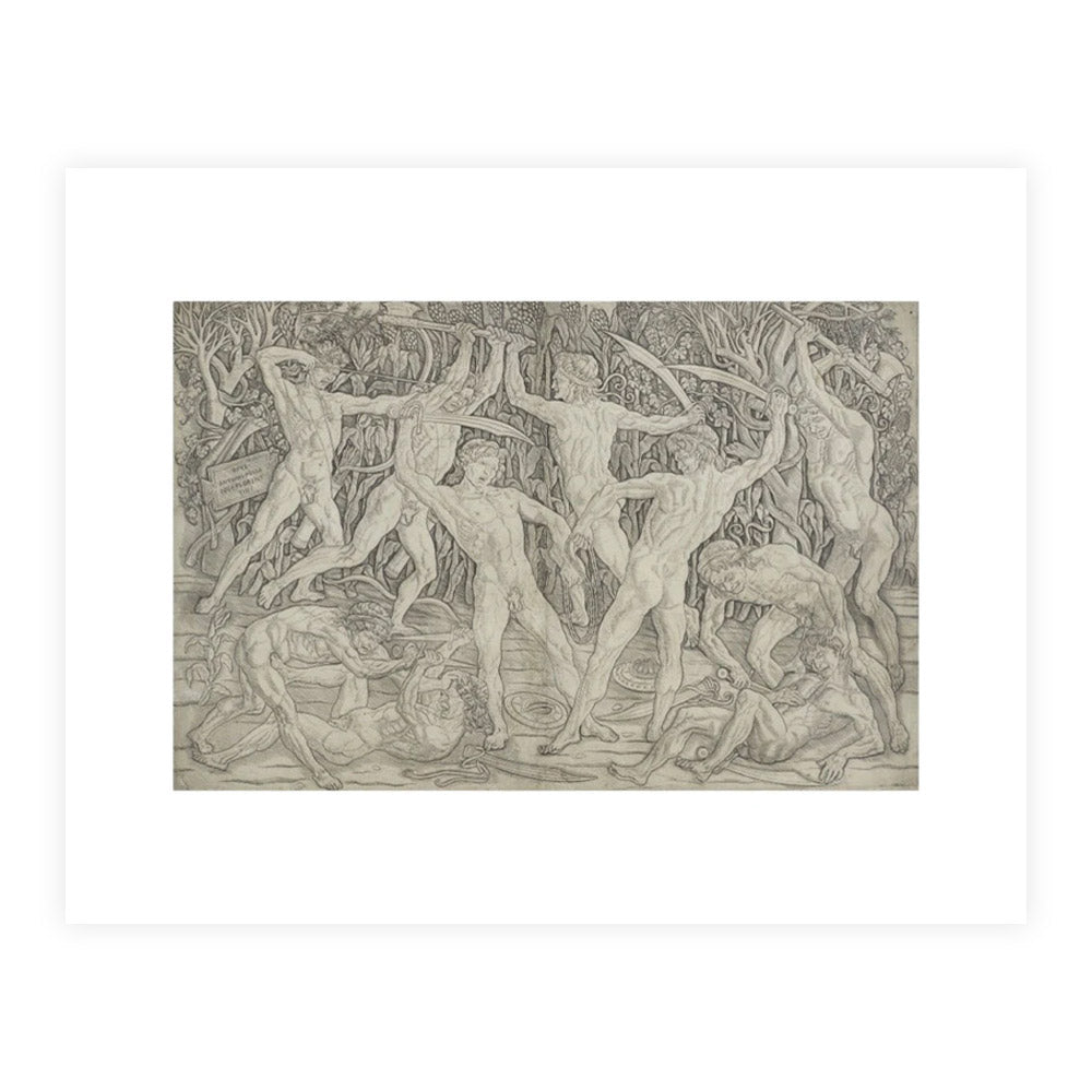 A reproduction of an artwork by Antonio del Pollaiuolo of a battle of nude men in a wood