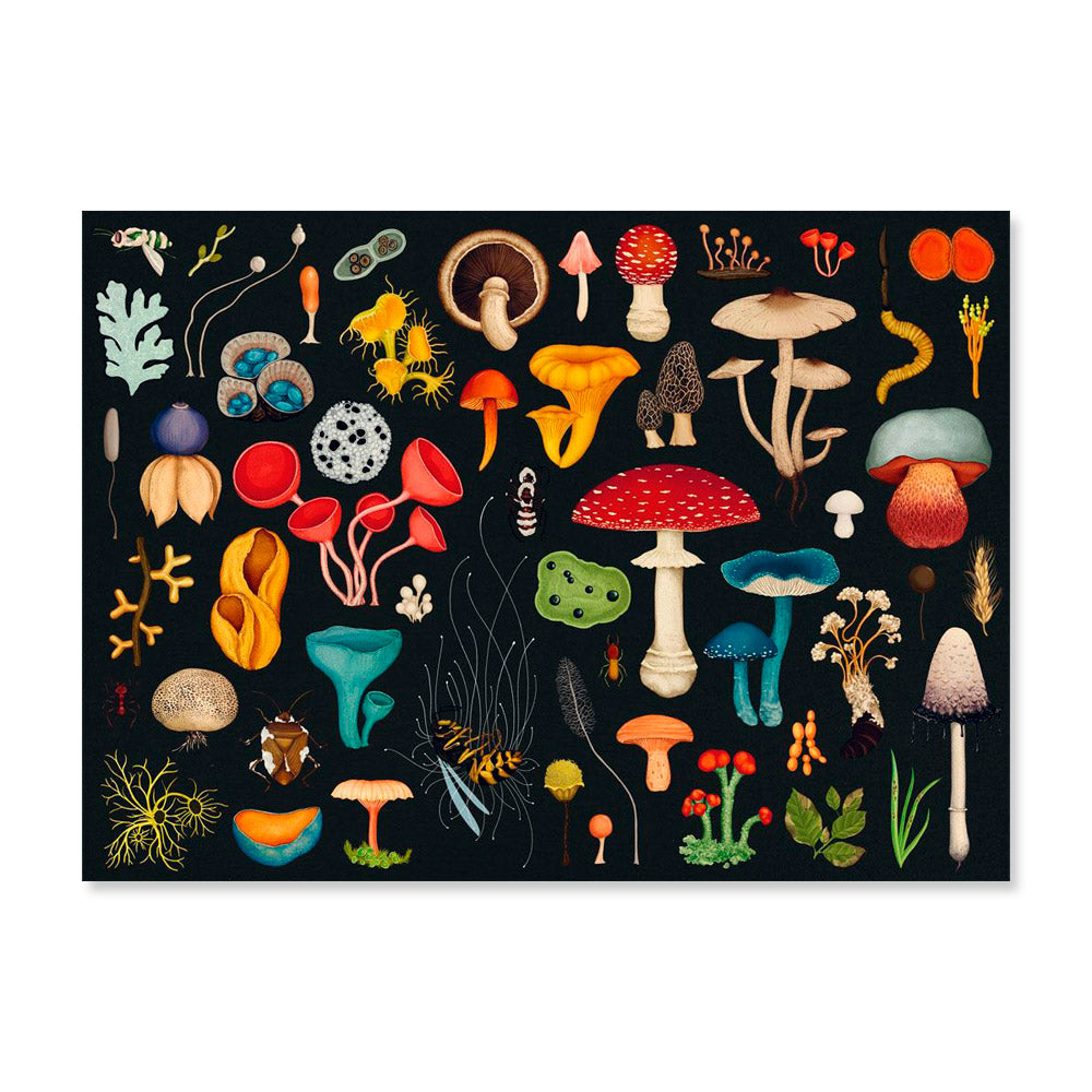 Design for a 1000 piece puzzle. Includes traditional illustrations of different fungi.