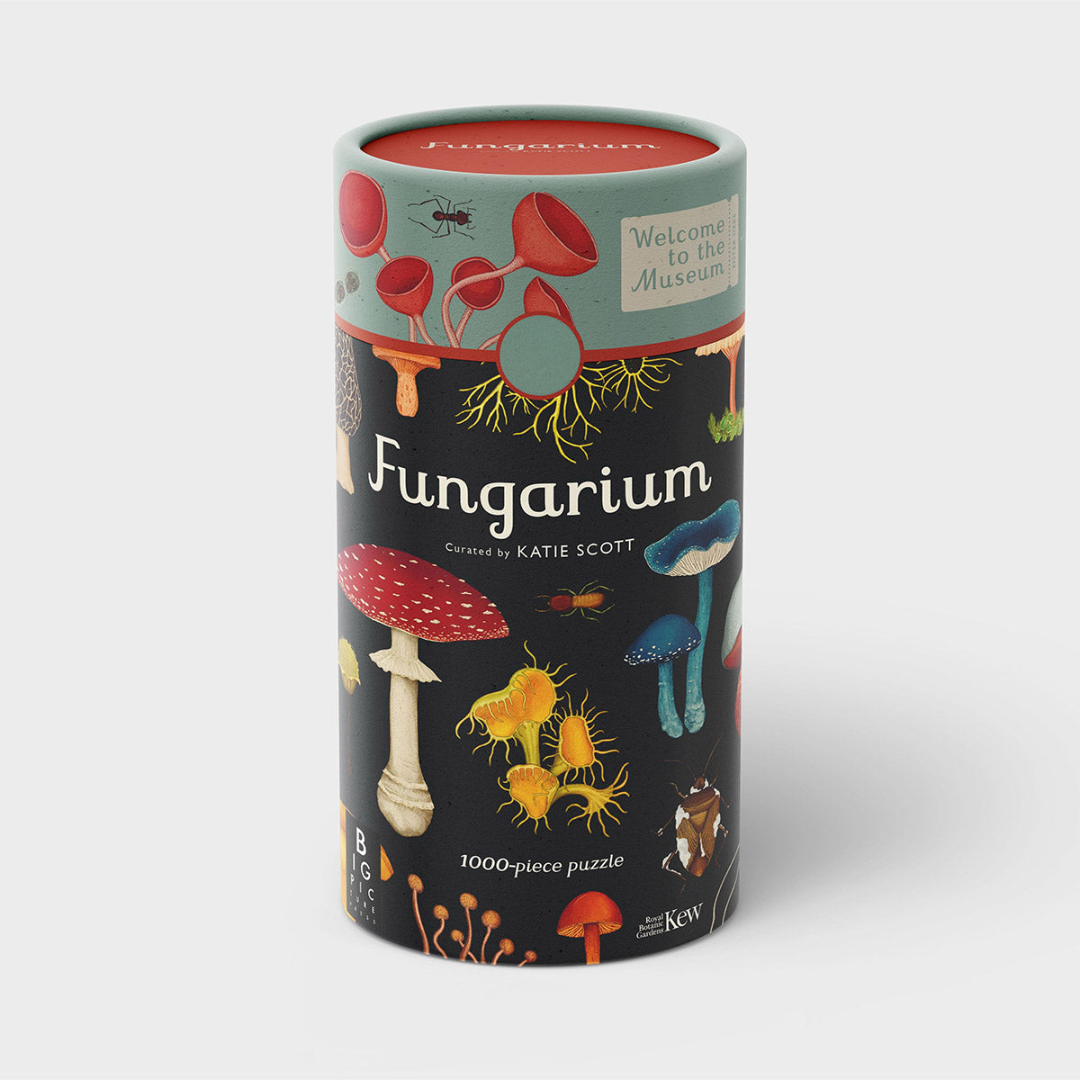 Cylindrical tube packaging for a 1000 piece puzzle. Includes traditional illustrations of different fungi.