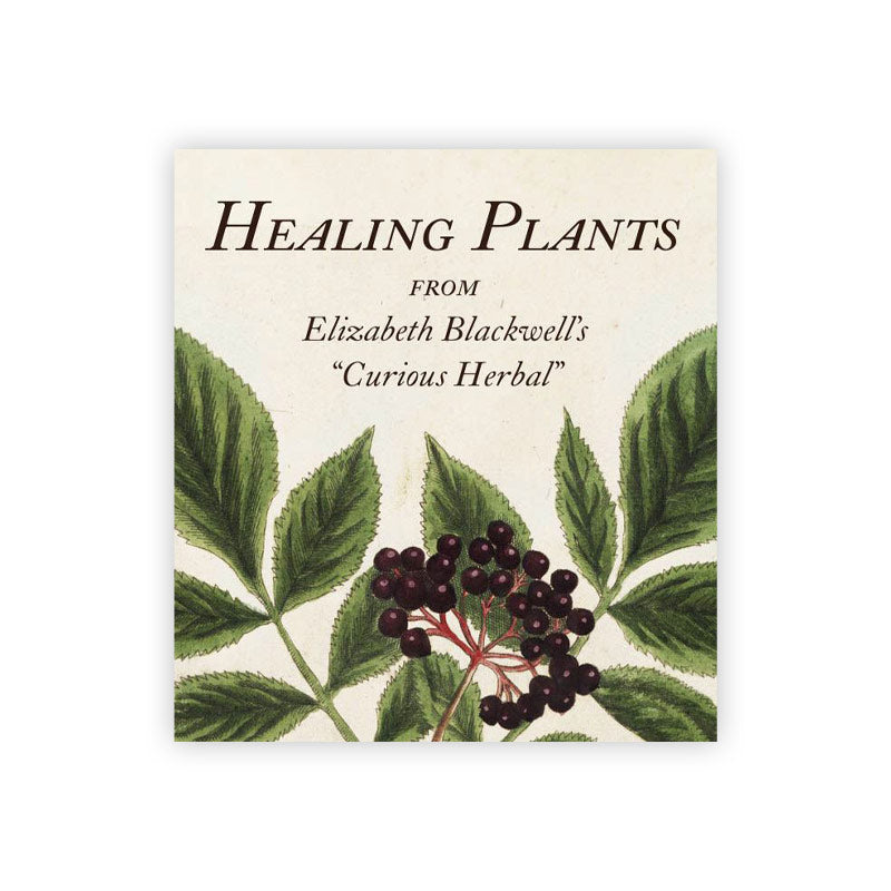 A book cover with botanical illustrations of plants