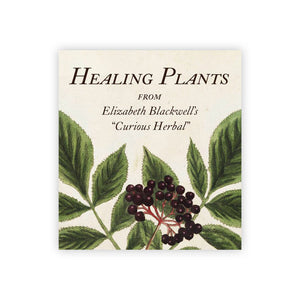 A book cover with botanical illustrations of plants