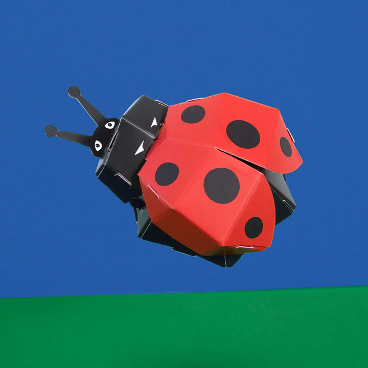 Create Your Own Super Lovely Ladybird