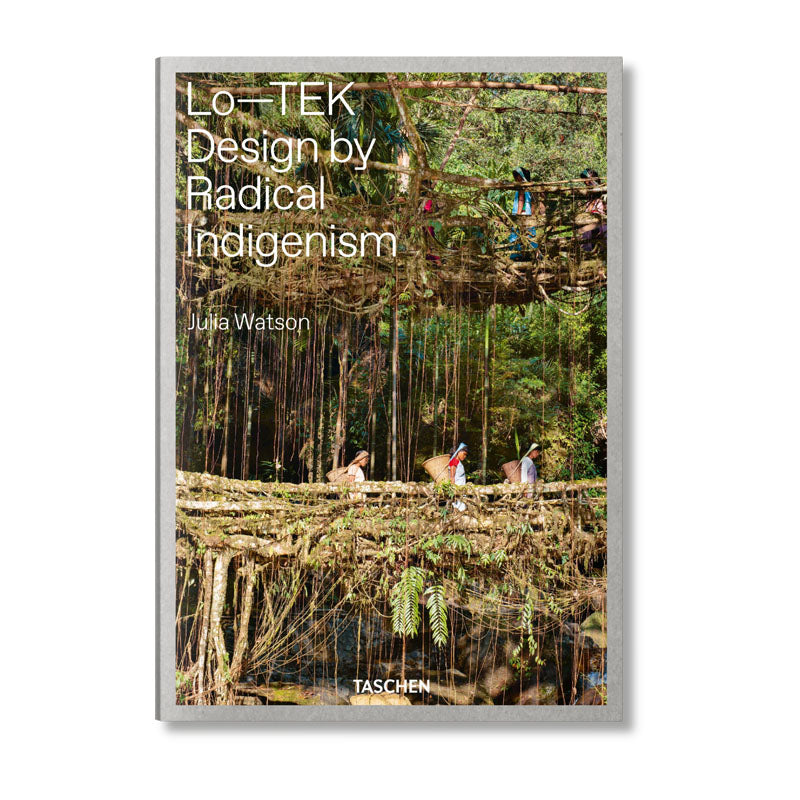 Book cover with illustration of people walking across a manmade bridge