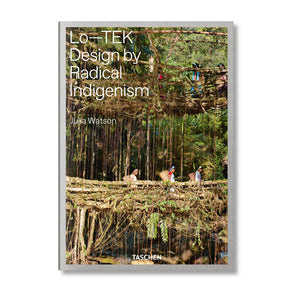 Book cover with illustration of people walking across a manmade bridge