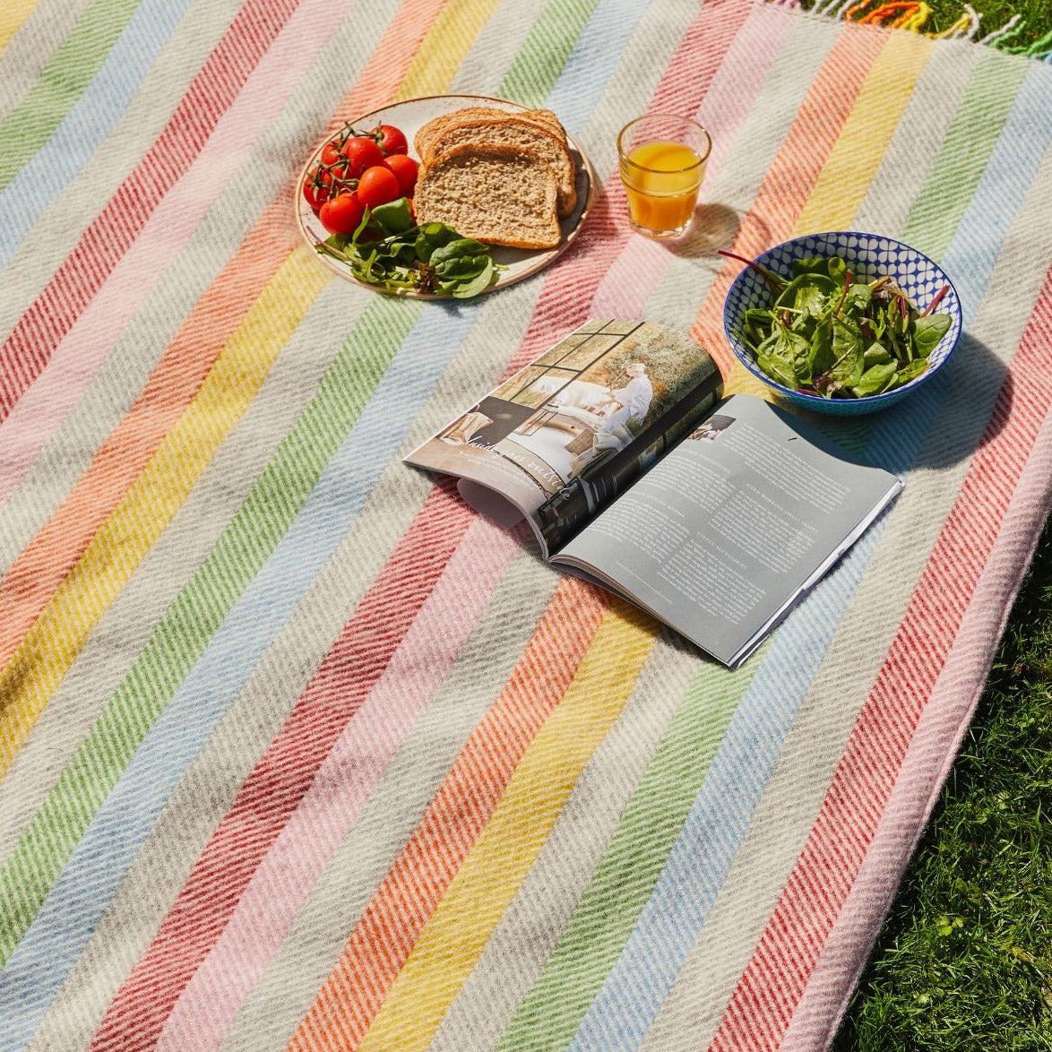 Colourful striped picnic blanket with food and a magazine on a grassy surface
