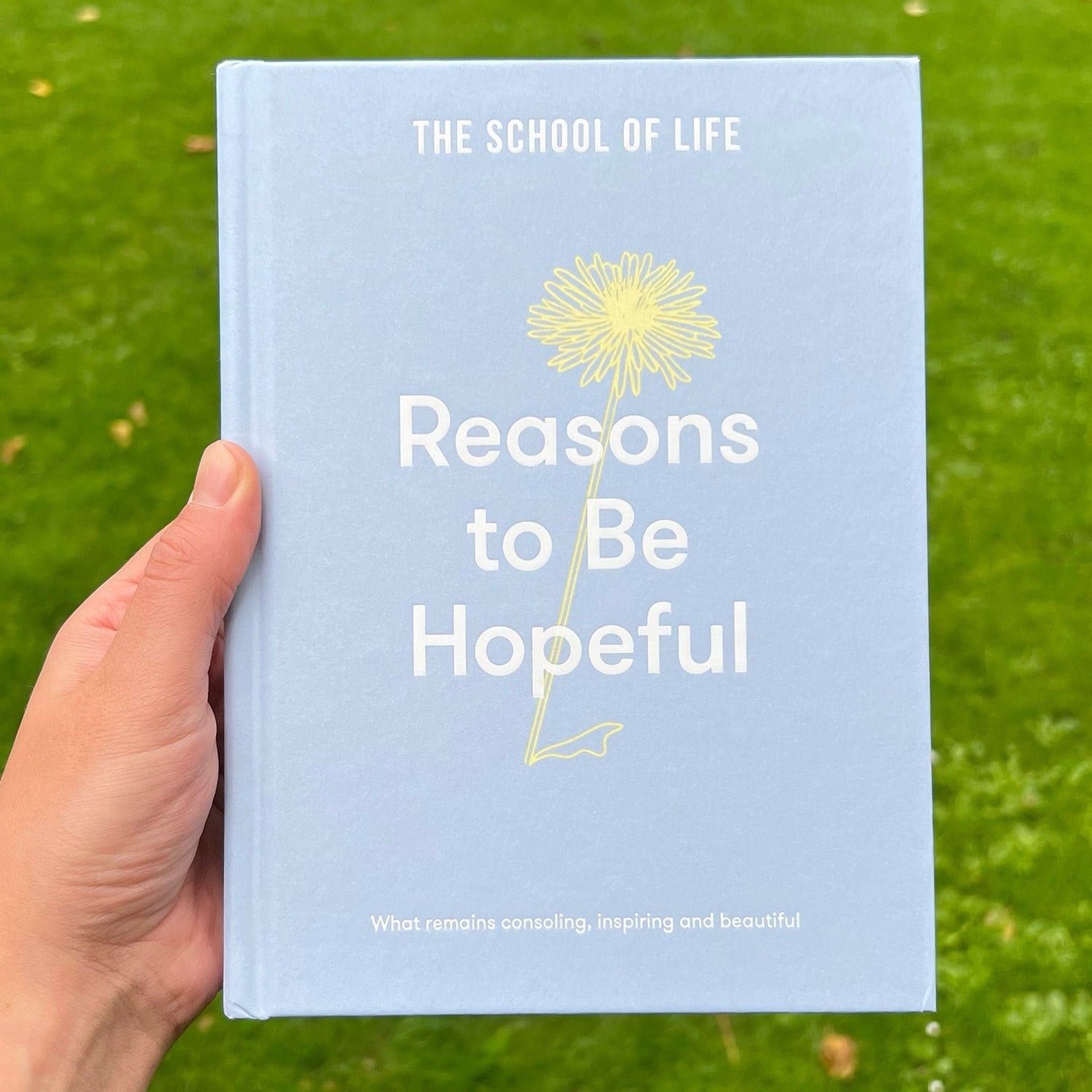 A person holding a baby blue book with a dandelion drawing against a grassy backdrop