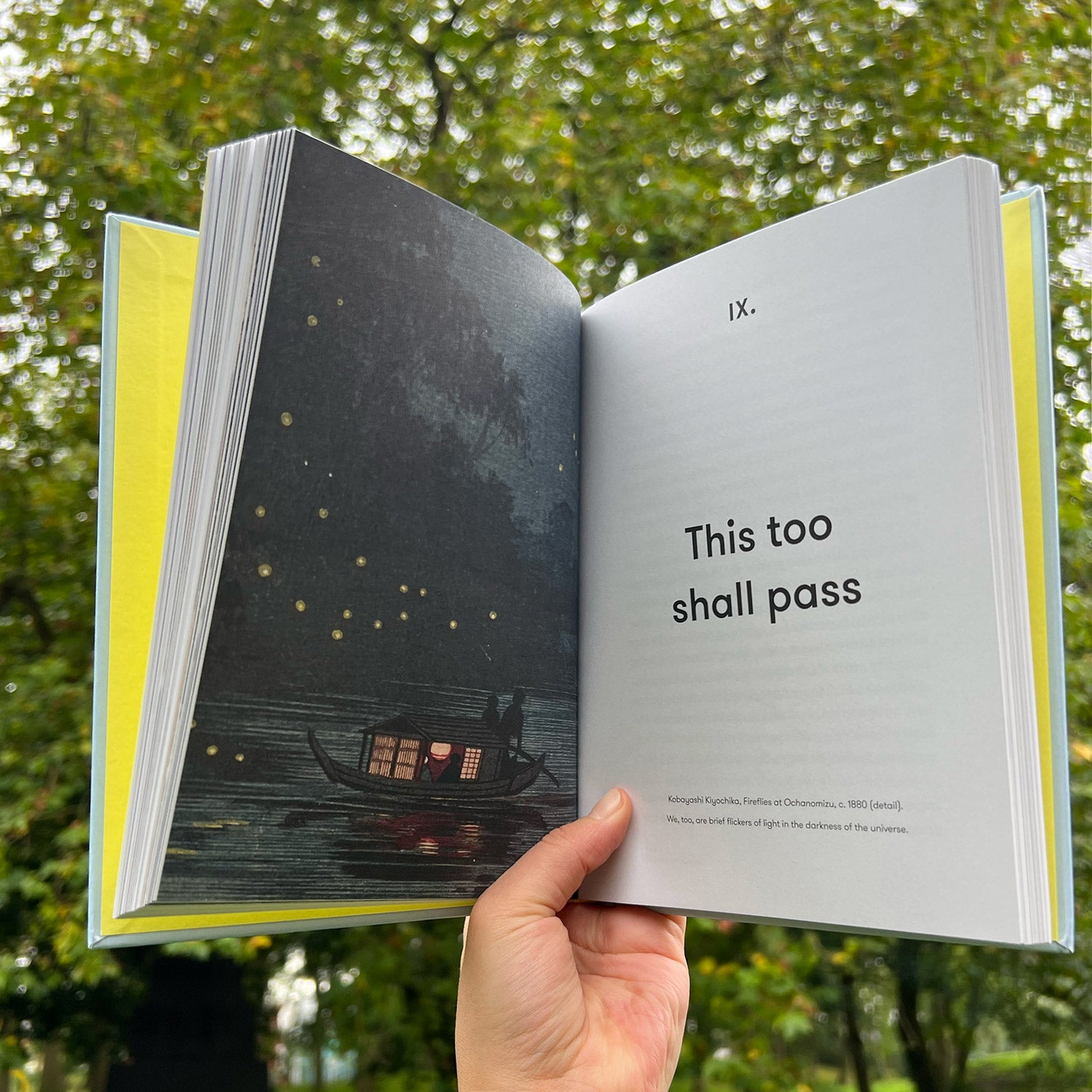 Someone holding an open book against a backdrop filled with trees.