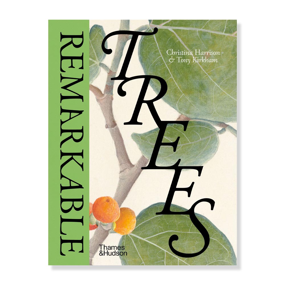 Front cover of book with close up illustration of a branch and leaves