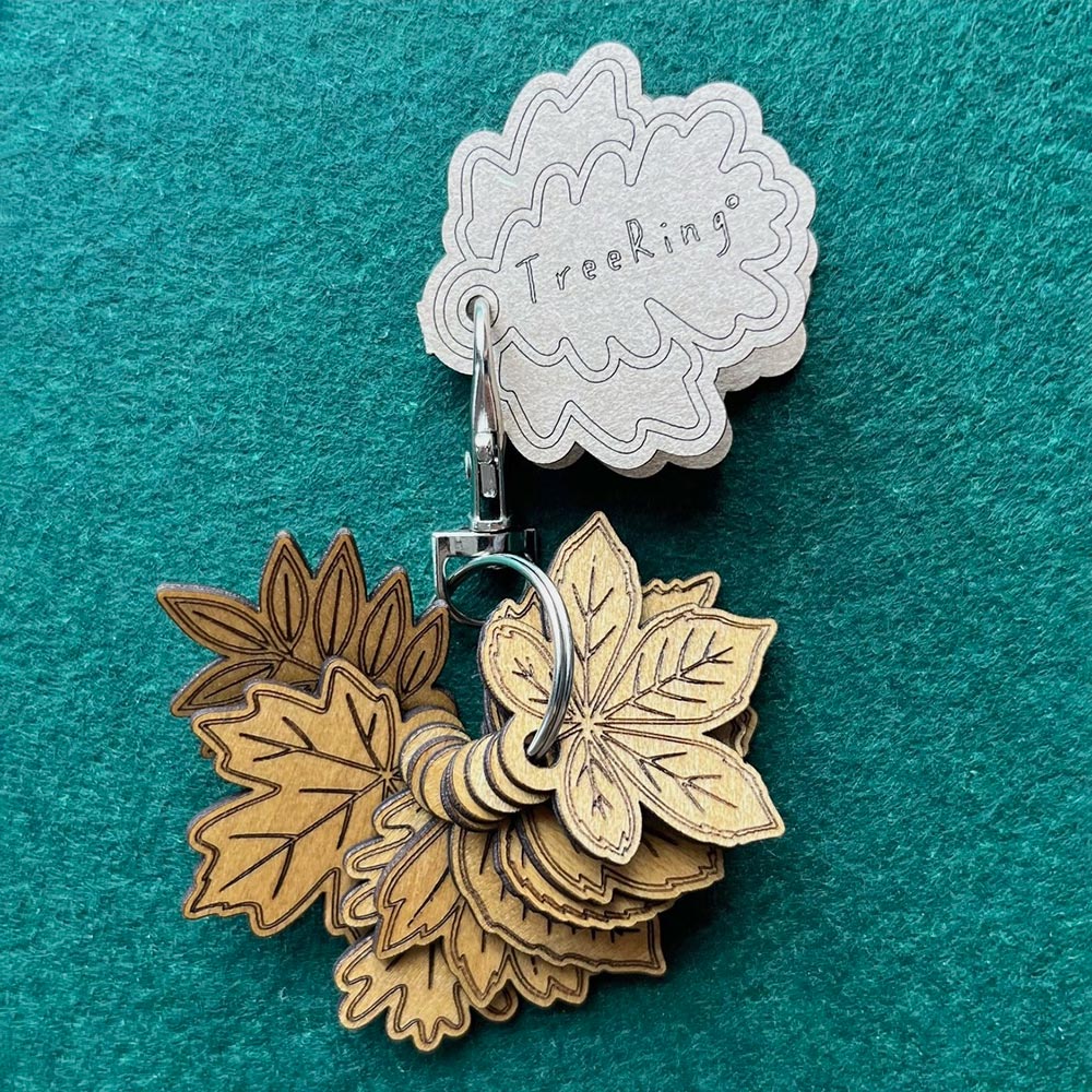 Keychain with leaf designs on a teal background