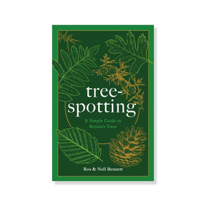 Book cover with abstract line illustrations of leaves