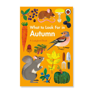 What to Look for in Autumn