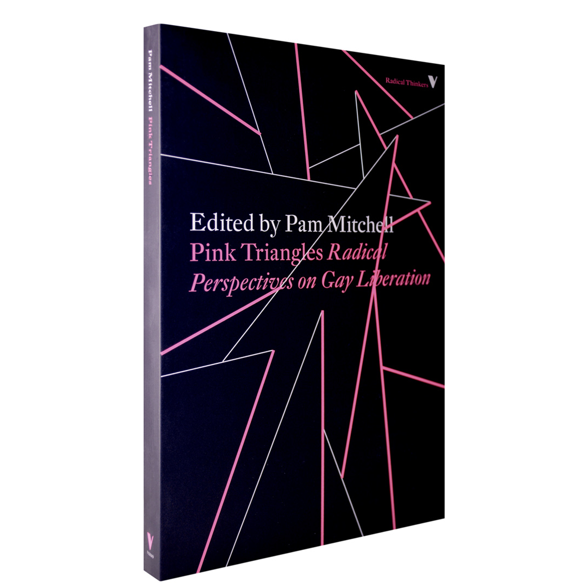 Pink Triangles: Radical Perspectives on Gay Liberation