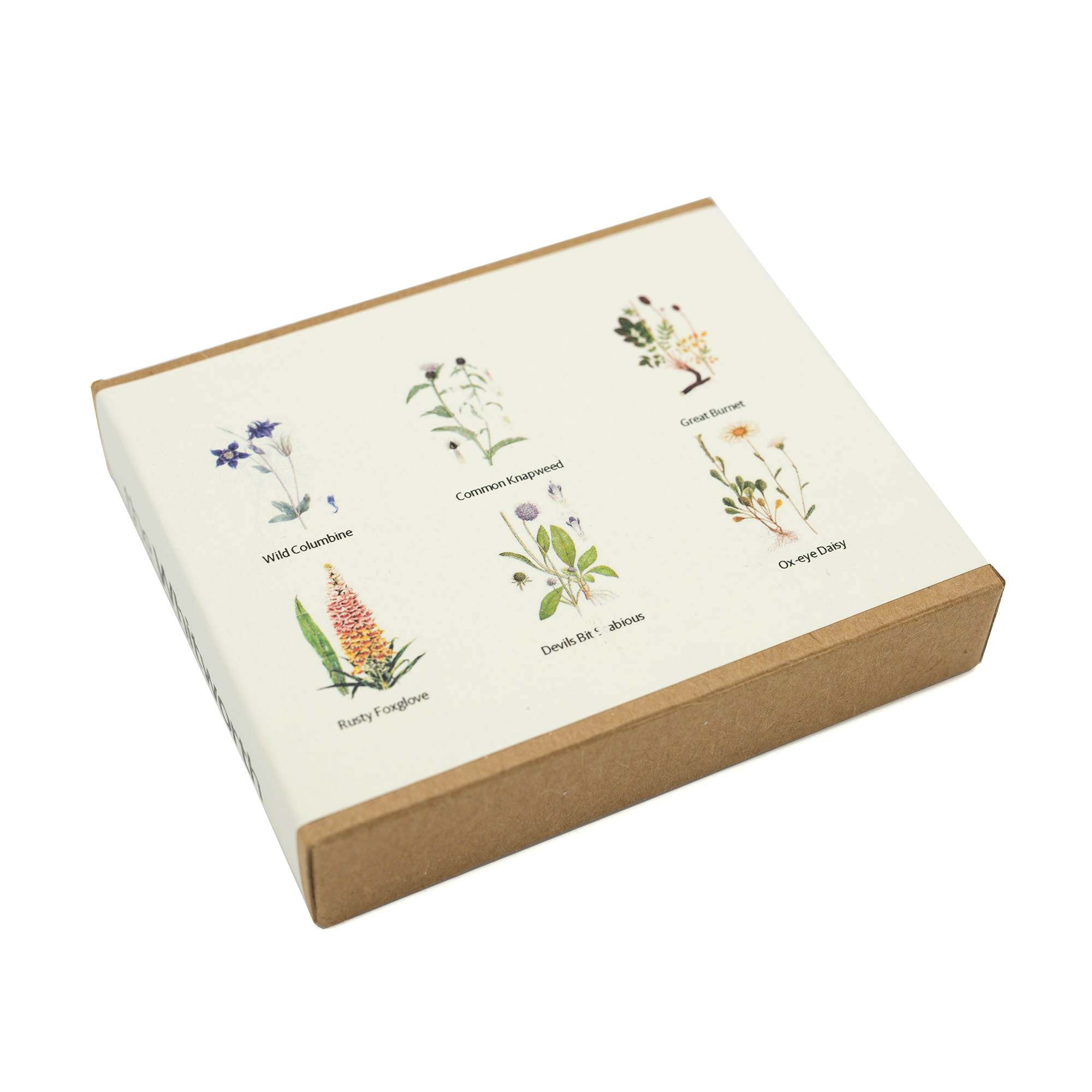 Whitworth Seed box photographed against a white background. Featuring the names of the seeds and illustrations of them.
