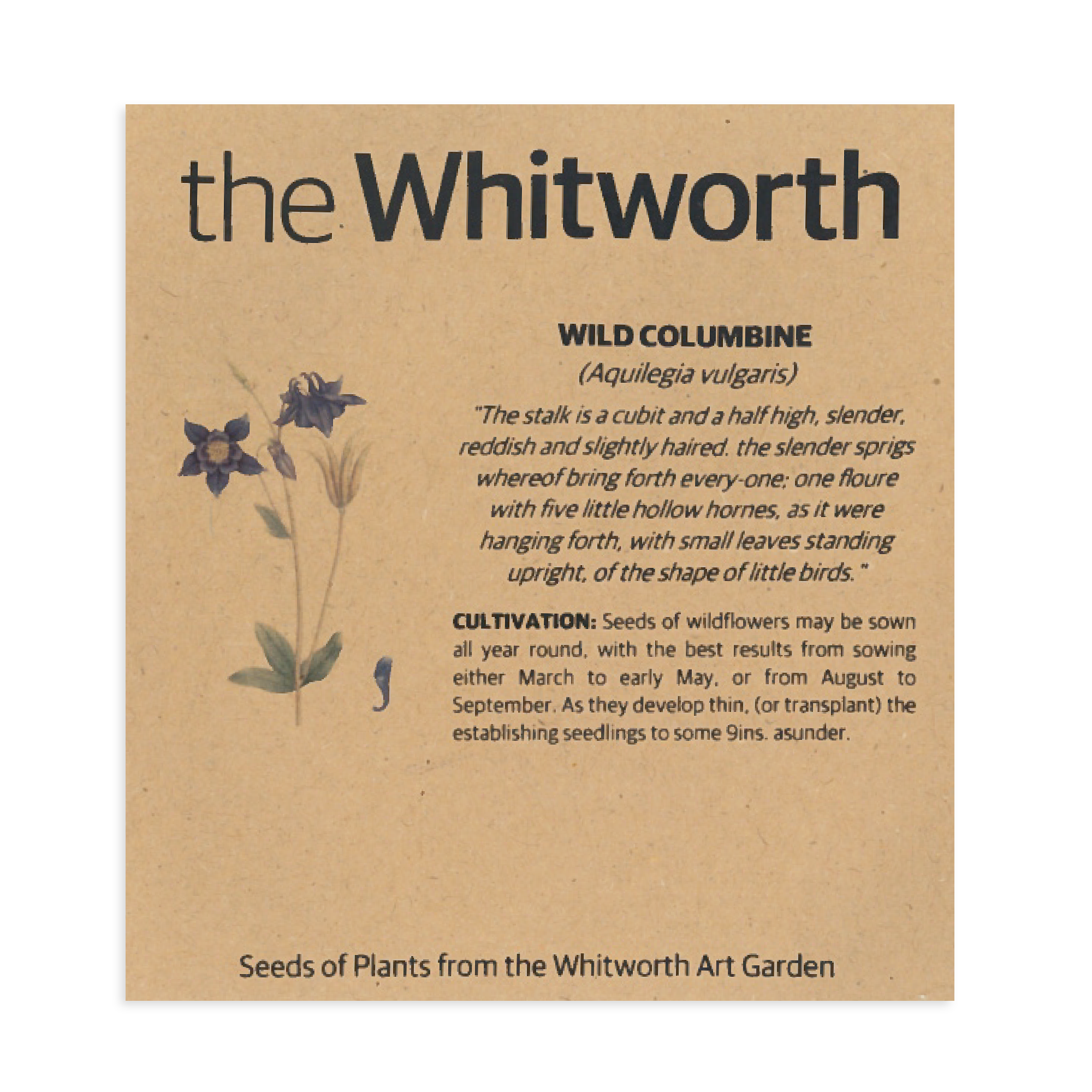 Whitworth Seeds - Wild Columbine