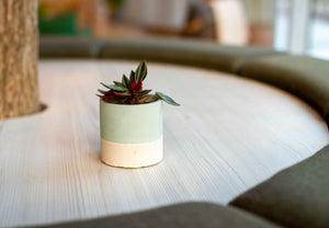 Lifestyle shot on a grey table. Background is blurred and main subject is a small planter in two colours. The top is sage green and the bottom in light grey.