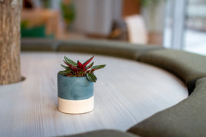 Lifestyle shot on a grey table. Background is blurred and main subject is a small planter in two colours. The top is indigo and the bottom in light grey.